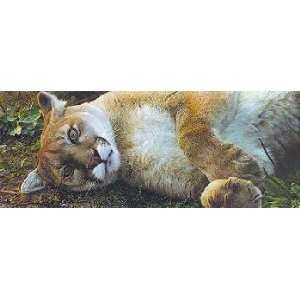 Carl Brenders   The Good Life Cougar