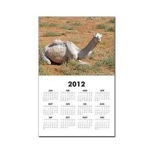  White Camel 2012 One Page Wall Calendar 11x17 inch on 