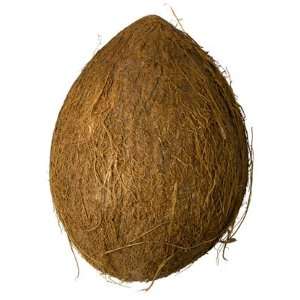 Whole Coconut Khopra (dry)  Grocery & Gourmet Food
