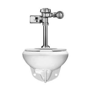  WETS 2050.1402 Wall Hung Elongated toilet fixture w/Royal 111 1.28 SMO