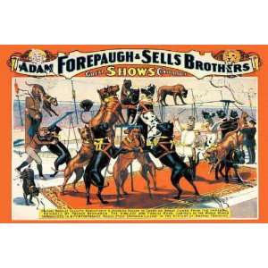  Troupe of Champion Great Danes Adam Forepaugh and Sells 