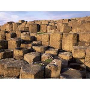 The Giants Causeway, Unesco World Heritage Site, Co. Antrim, Ulster 