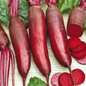  Beet Seeds Cylindra 200+ Seeds The sweetest beet youll 