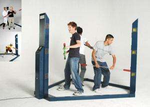 Makoto Arena Arcade Martial Arts, Sports Training Game  