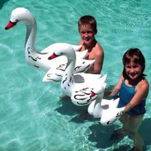 NEW Inflatable Floating Swan 19 Tall (81420)  