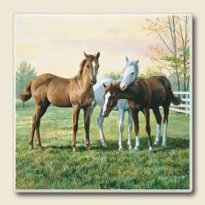 Yearlings horse picture Absorbastone New Tumbled Stone Trivet   code 