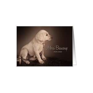  Thank You for the Care Pet Sitter French Language Labrador 