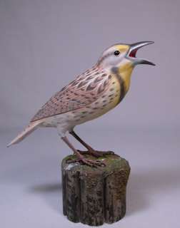 Western Meadowlark Orig Bird Backyard Carving/Birdhug  
