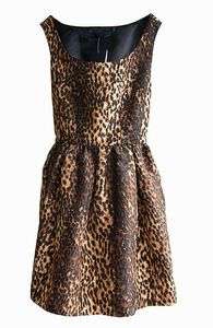 Zara Leopard Print Dress  