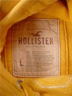 HOLLISTER Southern California Stitched Hoodie Sweatshirt (Womens 