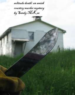   A Final Solitude Death An Amish Country Murder 