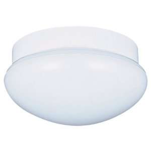  Sea Gull Lighting 7639 15 Ceiling Fixture, White Glass and 