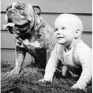  Baby Bulldog by H. Armstrong Roberts, 7x7