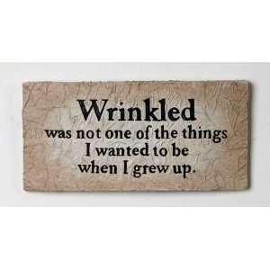  Wrinkled3 D plaque