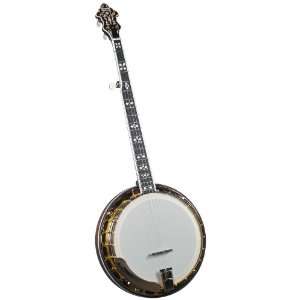  Flinthill FHB 282A Archtop Banjo with Case Musical 