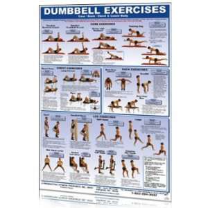 Dumbbell Exercises   Lower Body Core Chest And Back
