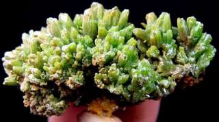 Green Pyromorphite Crystal, mineral specimen DZ056  