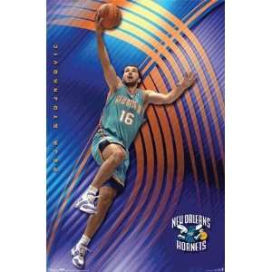  Peja Stojakovic of the NBAs New Orleans Hornets Poster 