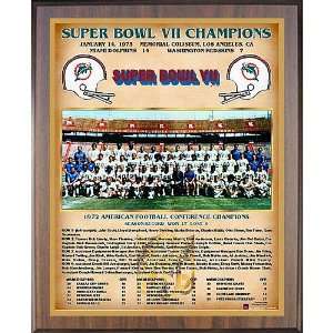  Healy Miami Dolphins Super Bowl Vii Champions 13X16 Team 