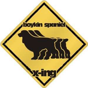  New  Boykin Spaniel X Ing / Xing Iii  Crossing Dog 