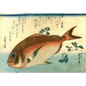     Ando Hiroshige   24 x 16 inches   Red Sea bream