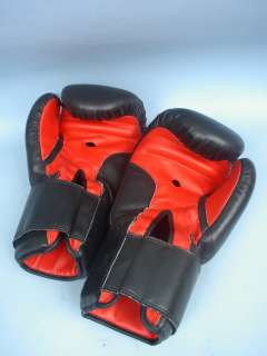 Ikon Black/Red Boxing Gloves  