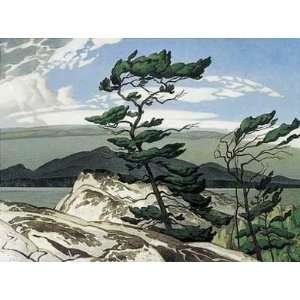   Pine   Artist Aj Casson   Poster Size 12 X 10 inches