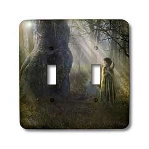   eerie and mysterious mood   Light Switch Covers   double toggle switch