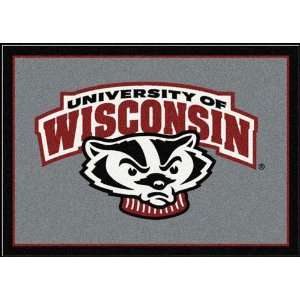  NCAA Team Spirit Door Mat   Wisconsin Badgers (Mascot 