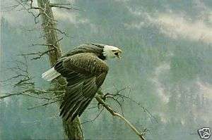 Robert Bateman AIR, FOREST & WATCH Eagle Wildlife Art  