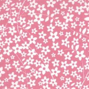  Sunkissed   Meadow Sweet in Pink Sorbet Baby