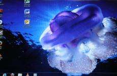 HP DV6 Intel Core i3 400GB 4GB LED Windows 7 Office 2010 Webcam like 