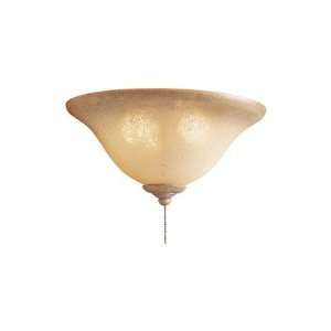   Bulb Universal Ceiling Fan Light Kit with Venetian Scavo Glass Shade