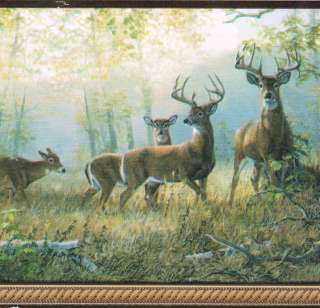 COUNTRY DEER & DOES IN THE WOODS Wallpaper bordeR Wall  