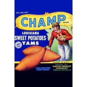  Champ Louisiana Sweet Potatoes 16X24 Canvas Giclee