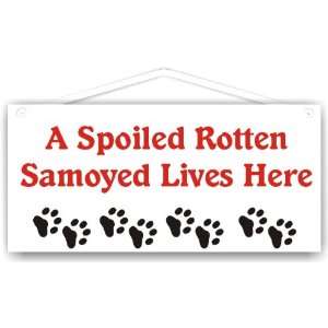 Spoiled Rotten Samoyed Lives Here