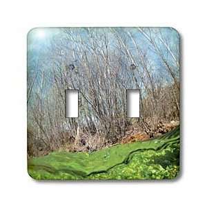   Sierra of Albarracin   Light Switch Covers   double toggle switch