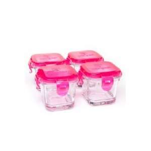  Raspberry 4 Pack Wean Cubes