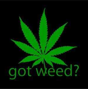 GOT WEED pot weeds marijuana medical t shirt Large  