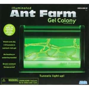  Uncle Milton   Illuminated Ant Farm Gel Colony (Science 