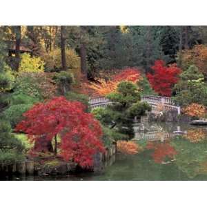  Kiri Pond and Bridge in a Japanese Garden, Spokane 