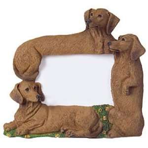 DACHSHUND DOG Red Family Picture PHOTO FRAME Resin 4 x 6 F15R  