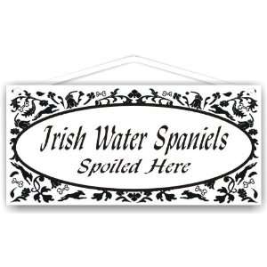  Irish Water Spaniels Spoiled Here 