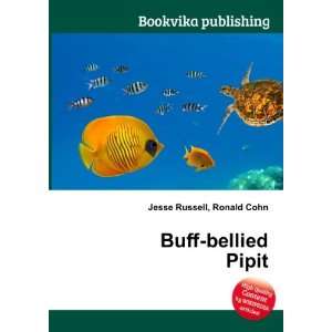  Buff bellied Pipit Ronald Cohn Jesse Russell Books