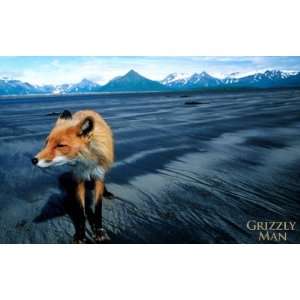  Grizzly Man Movie Poster (11 x 17 Inches   28cm x 44cm 