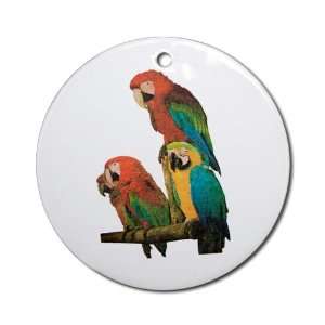  Ornament (Round) Family of Parrots 