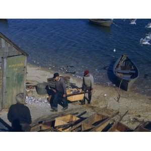  Commercial Fishermen Carry Fish from Dory to Weighing 