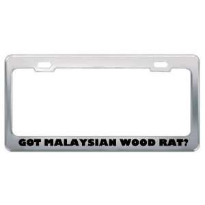 Got Malaysian Wood Rat? Animals Pets Metal License Plate Frame Holder 
