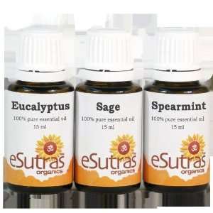  eSutras 22003 Essential Oil Kit  Respiratory Health 