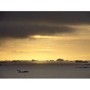  Icebergs at Sunset, Off Antarctic Peninsula, Antarctica 